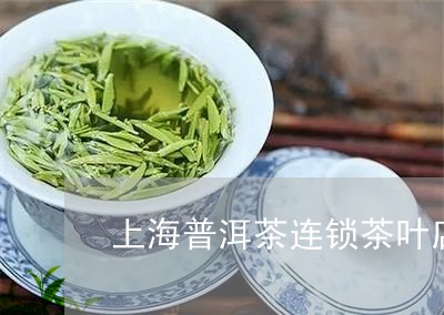 上海普洱茶连锁茶叶店/2023092505138