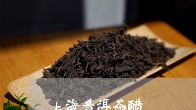 上海普洱茶醋/2023042654143