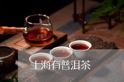 上海有普洱茶/2023042839149