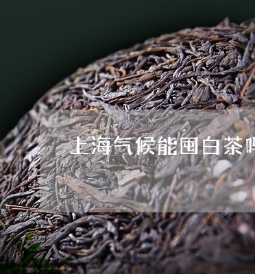 上海气候能囤白茶吗/2023121672157