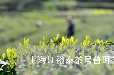 上海汪裕泰茶号普洱茶/2023063049460