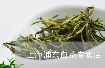 上海浦东白茶专卖店/2023121652705