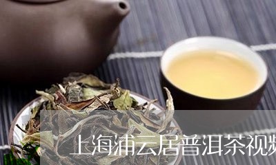 上海浦云居普洱茶视频/2023062169481