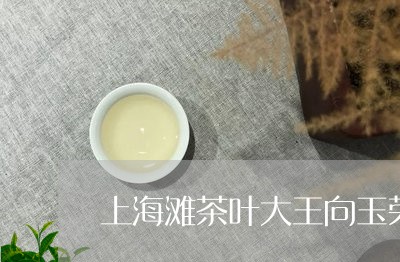 上海滩茶叶大王向玉荣/2023061192725