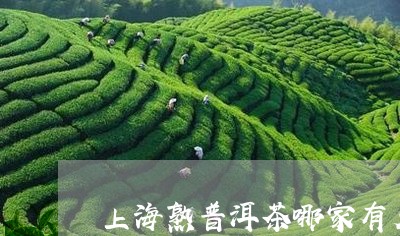 上海熟普洱茶哪家有名/2023062389403