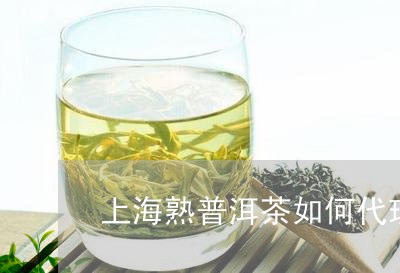 上海熟普洱茶如何代理/2023092519502