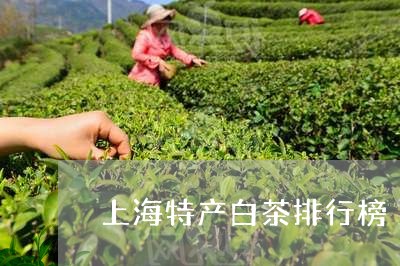 上海特产白茶排行榜/2023121651713