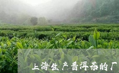 上海生产普洱茶的厂家有几家/2023052808594