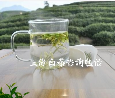 上海白茶咨询电话/2023061440684