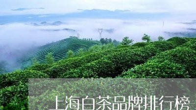 上海白茶品牌排行榜/2023081148581