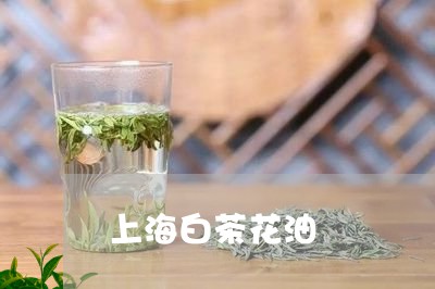 上海白茶花油/2023051255248