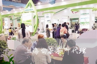 上海白茶茶叶代理/2023061424040