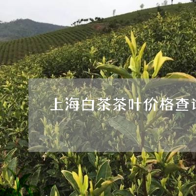 上海白茶茶叶价格查询/2023092651705