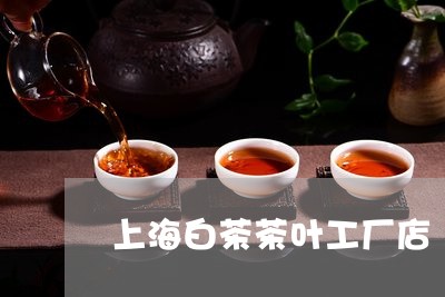 上海白茶茶叶工厂店/2023121695935