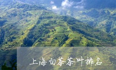 上海白茶茶叶排名/2023061404138