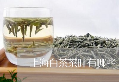 上海白茶茶叶有哪些/2023071449381