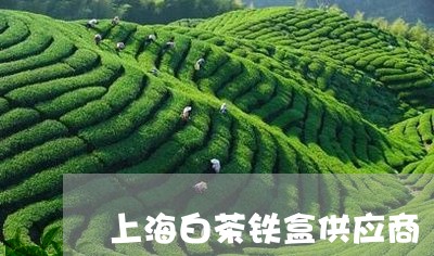 上海白茶铁盒供应商/2023121637350