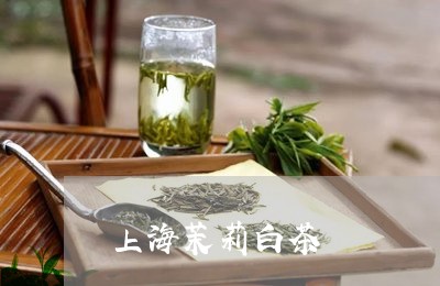 上海茉莉白茶/2023051249682