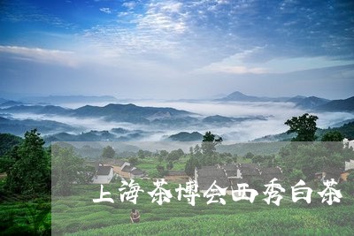 上海茶博会西秀白茶/2023121678472