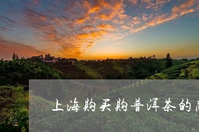 上海购买购普洱茶的商户/2023080165049