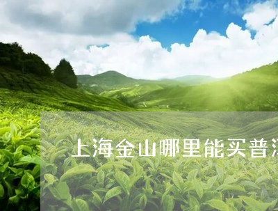 上海金山哪里能买普洱茶/2023122067503