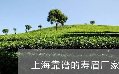 上海靠谱的寿眉厂家/2023071436269