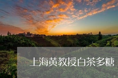 上海黄教授白茶多糖/2023081218258