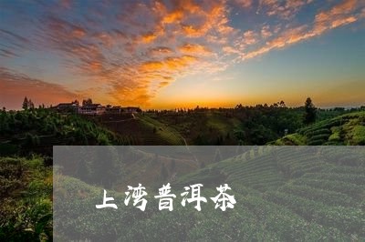 上湾普洱茶/2023081706170