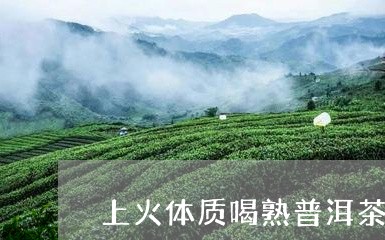 上火体质喝熟普洱茶可以吗/2023110267371