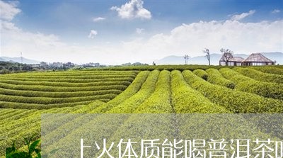 上火体质能喝普洱茶吗/2023092908482