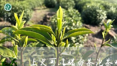 上火可以喝白茶泡茶吗/2023092682713