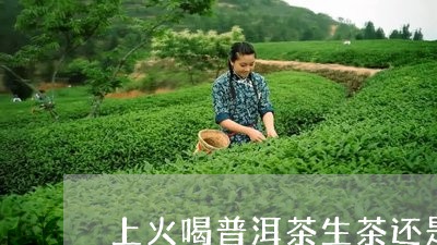 上火喝普洱茶生茶还是熟茶好/2023052759503