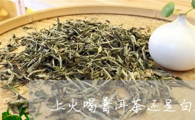 上火喝普洱茶还是白茶/2023100662838