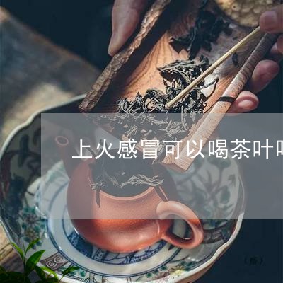 上火感冒可以喝茶叶吗/2023061172847