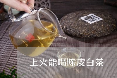 上火能喝陈皮白茶/2023061462937