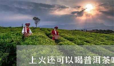 上火还可以喝普洱茶吗/2023072484916