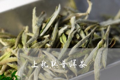 上犹熟普洱茶/2023042676518