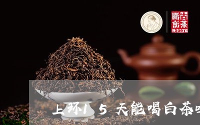 上环15天能喝白茶吗/2023092767269