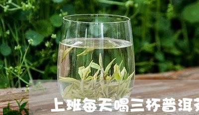 上班每天喝三杯普洱茶好吗/2023112414037