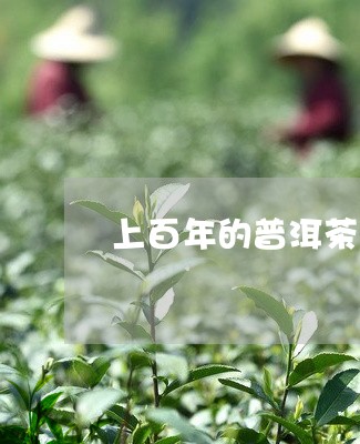 上百年的普洱茶的价值/2023092614815