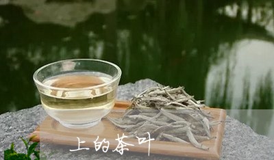 上的茶叶/2023110869795