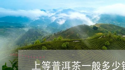 上等普洱茶一般多少钱/2023061569404