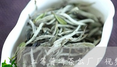 上等普洱茶出厂厂视频/2023062302582