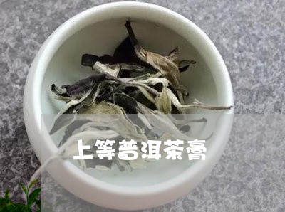 上等普洱茶膏/2023042657215