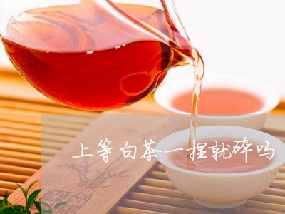 上等白茶一捏就碎吗/2023071454240