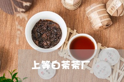 上等白茶茶厂/2023051251824