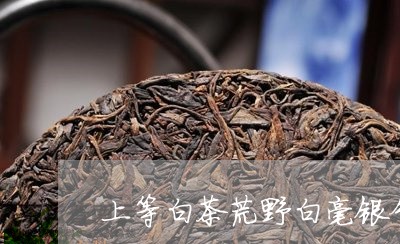 上等白茶荒野白毫银针/2023092142817