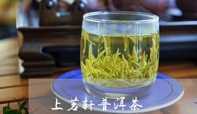 上茗轩普洱茶/2023042570200