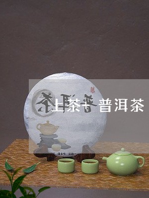 上茶+普洱茶/2023042844792