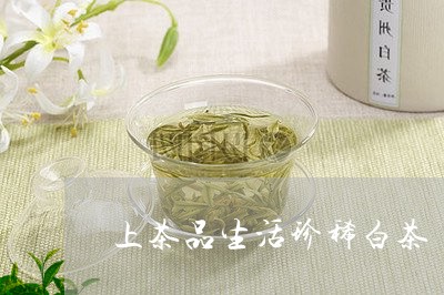 上茶品生活珍稀白茶/2023081180471